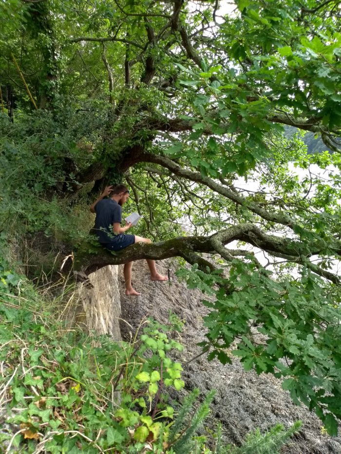 reading in a tree